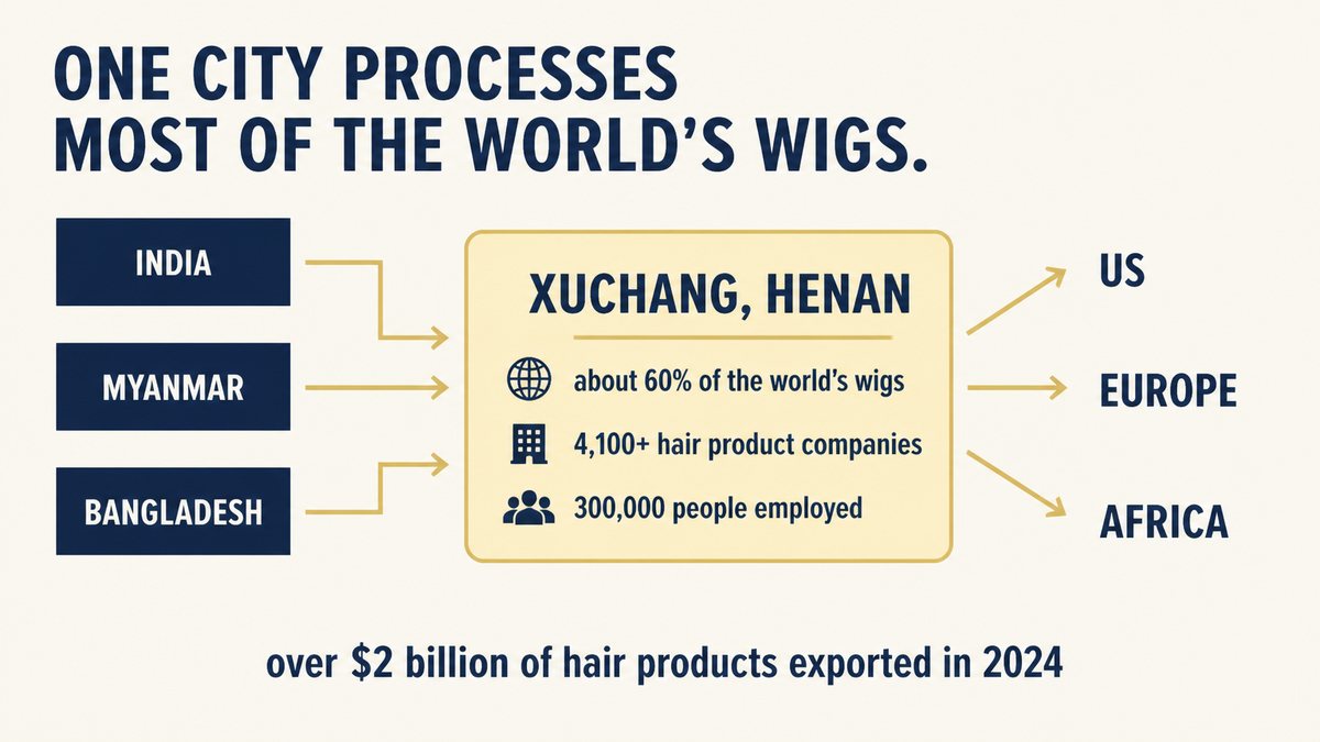 Xuchang hair products hub showing raw hair sourcing, processing and export routes to the US, Europe and Africa